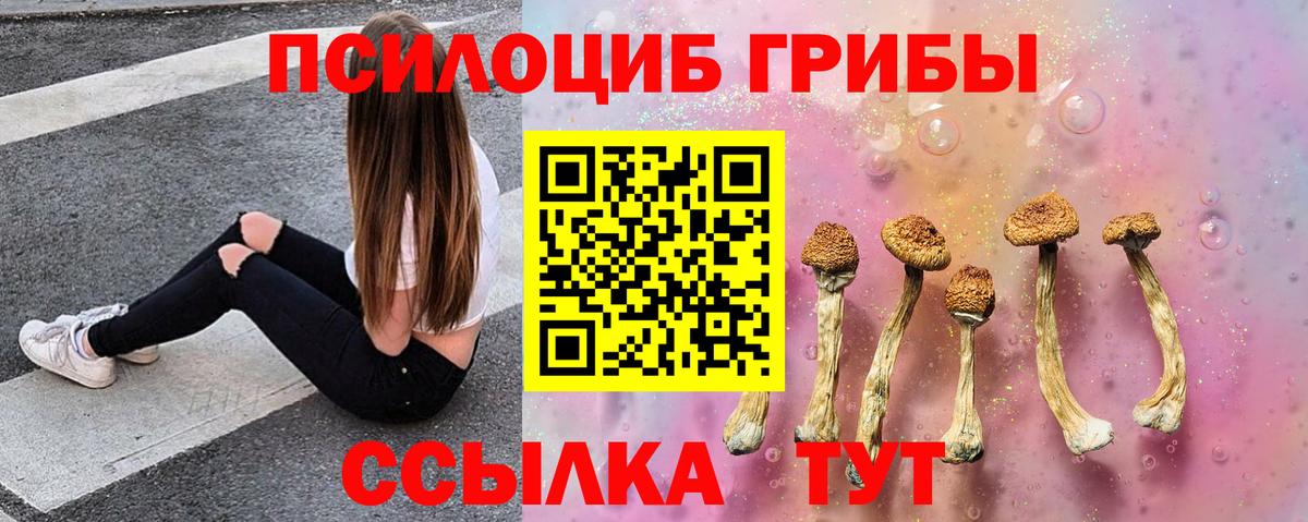 Псилоцибиновые грибы GOLDEN TEACHER  Вход с VPN  Нижний Новгород 